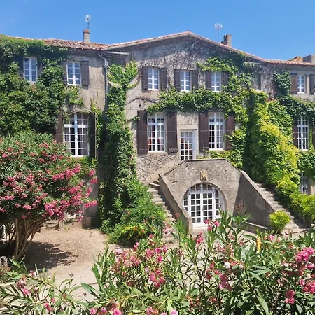 Château de Floure - SPA et piscine extérieure chauffée-3